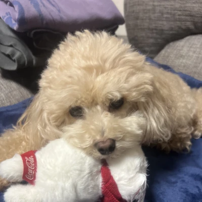 こんばんわ！ハナです！