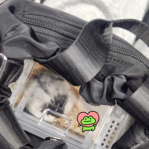 お久しぶりです！22時から出勤します🐸の写真1枚目