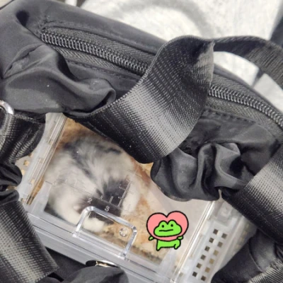 お久しぶりです！22時から出勤します🐸
