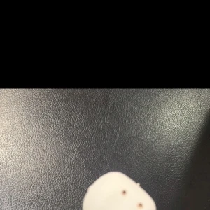 マシュマロ⛄の写真1枚目