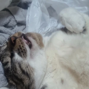 えりかだよー💜‪の写真1枚目
