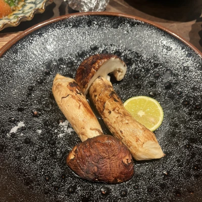 れいです🍄