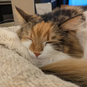 こんばんは！㌨です😊の写真1枚目