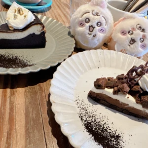 今日は沢山寝ます！の写真1枚目