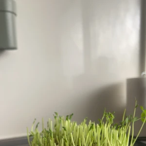 こんばんは‼️の写真1枚目