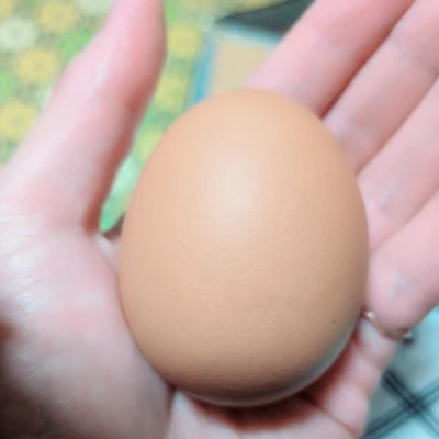 ゆで卵もらったので帰ります❗️