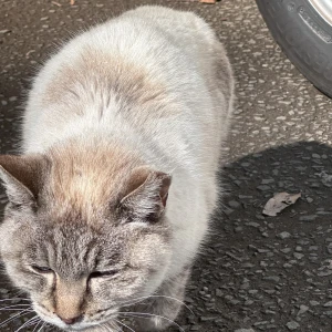るのだよ〜🍀*゜の写真1枚目