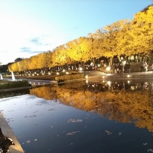 🍂🍂の写真1枚目