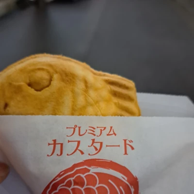 今日９時からいます✨