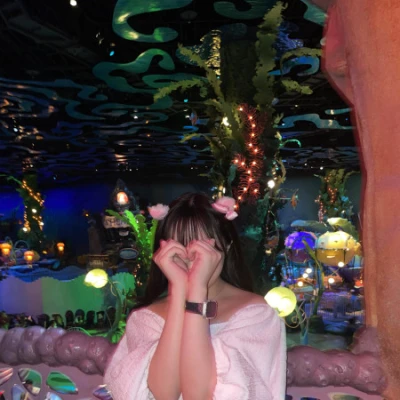 🐭🏰