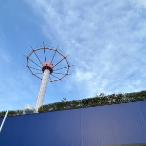 ⬜️💚の写真1枚目