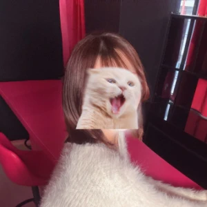21:30から😻の写真1枚目