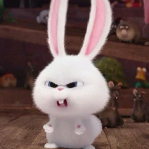 やほ！！の写真1枚目