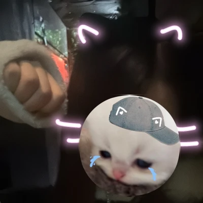 本日猫ちゃんでお出迎えします💕🐈‍⬛🎀