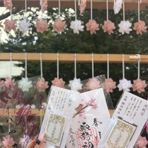錦糸町ティファニーのあんずです！の写真1枚目