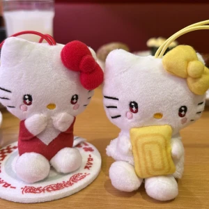 今日もいます₍ᐢ‥ᐢ₎ ♡の写真1枚目