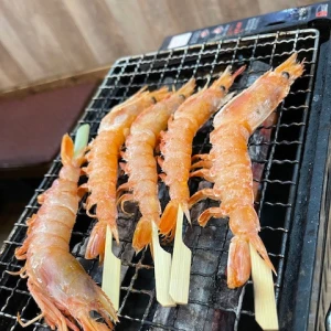 みみです🦐今日います🦐の写真1枚目