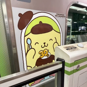 1/29の写真1枚目