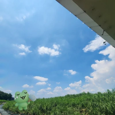 19時半から出勤します🐸