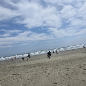🎐🏊🏄👙💕の写真2枚目