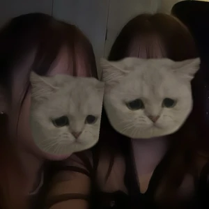 こんばんは🌙の写真1枚目