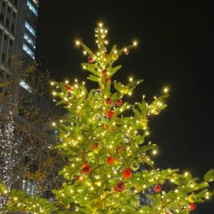 さらんです🩵🪽の写真1枚目