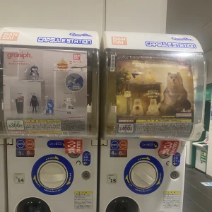 こんばんはあのです😺😺の写真2枚目