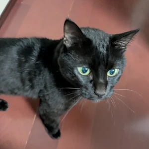 こんばんは🌛㌨です！の写真1枚目