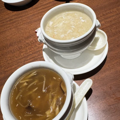 ましろ本日も出勤です🦖🐾