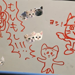 リカです。の写真1枚目