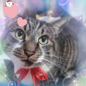 えりかだよー💜‪の写真1枚目