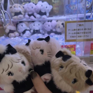 こんばんわわわわわわの写真1枚目