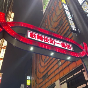 6.6 久々の東京🗼🚄🏢‪の写真1枚目