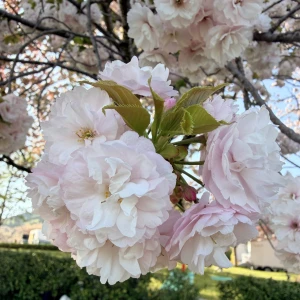 久しぶりの出勤です🐱の写真1枚目