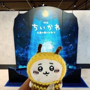 お疲れ様です✌🏻の写真1枚目