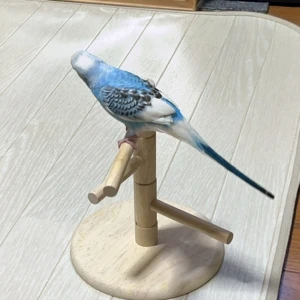7/31①の写真1枚目