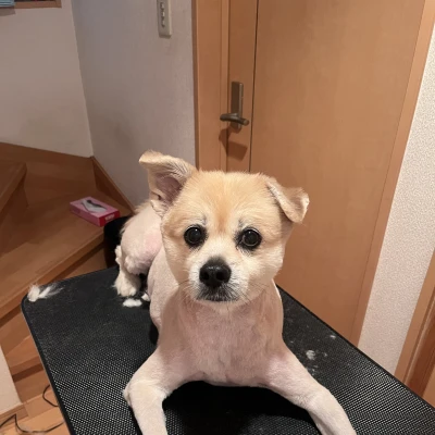 🌝出勤です！！！
