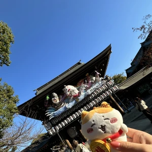 スピ活！の写真1枚目