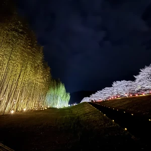おはようございます😊の写真1枚目