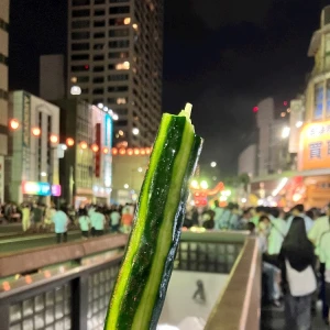 8/6の写真1枚目