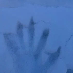 🥱🥱の写真1枚目