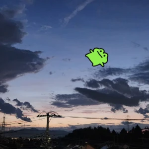 出勤しました🐸の写真1枚目