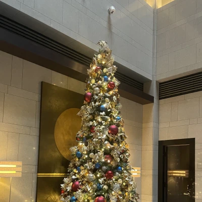 こんばんは🥂💫