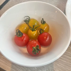 🍅の写真1枚目