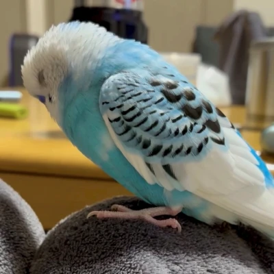 居眠りゆきち‪🫶🏻︎🩷🫧