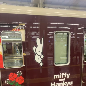 こんばんは、ぽちです🐾の写真1枚目