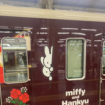 こんばんは、ぽちです🐾