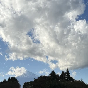 こんにちは、ゆりあですの写真1枚目