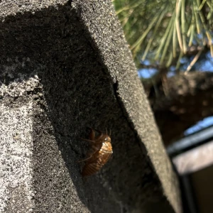 🍁 9/15更新┋あやblog 🍂の写真3枚目