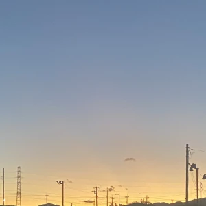 11月4日の写真1枚目